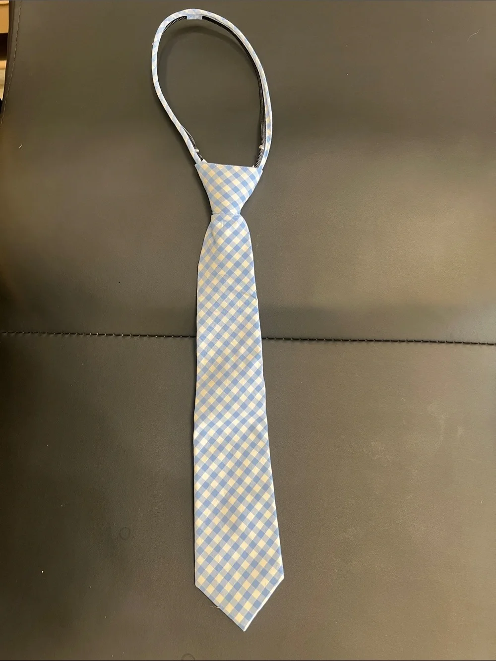 Class Club Light Blue and White Gingham Pre-Tied Neck Tie