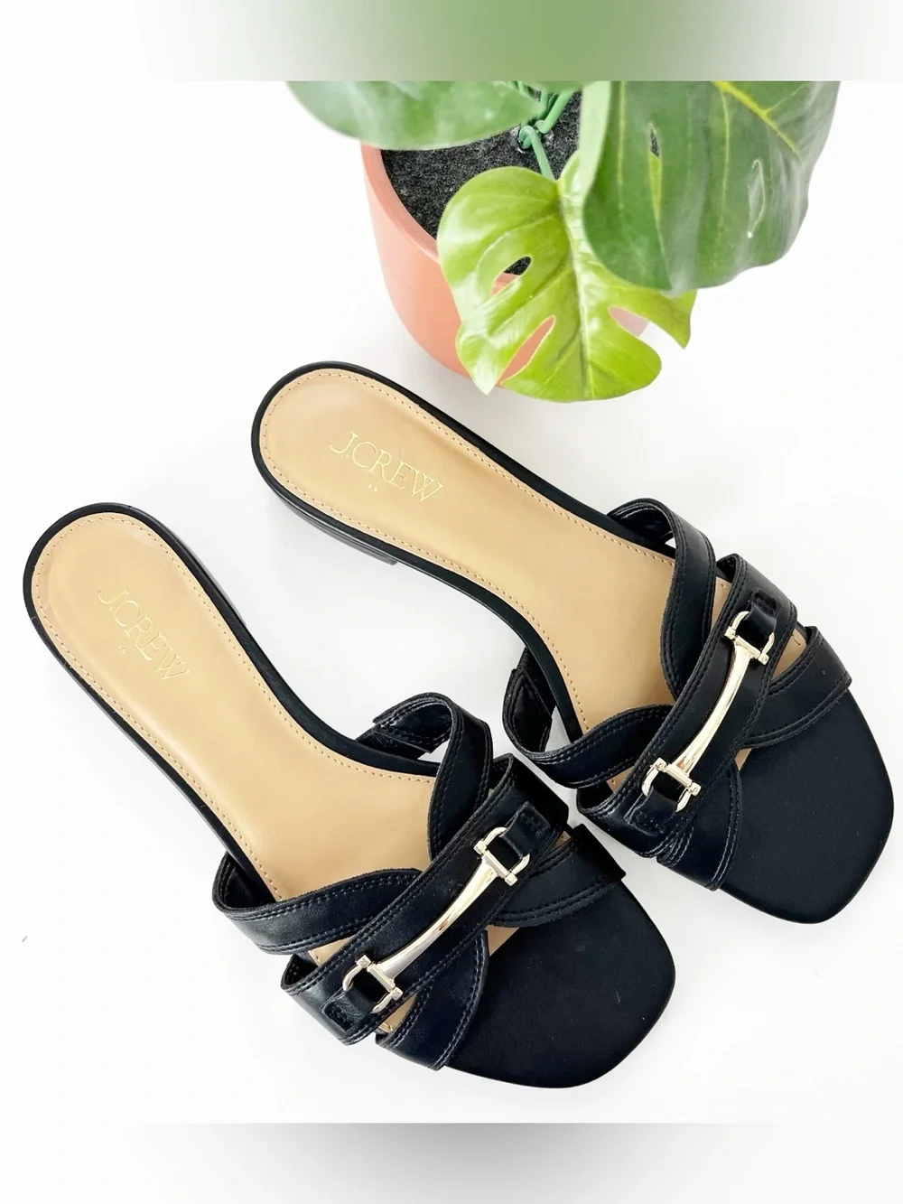 J. Crew crew black