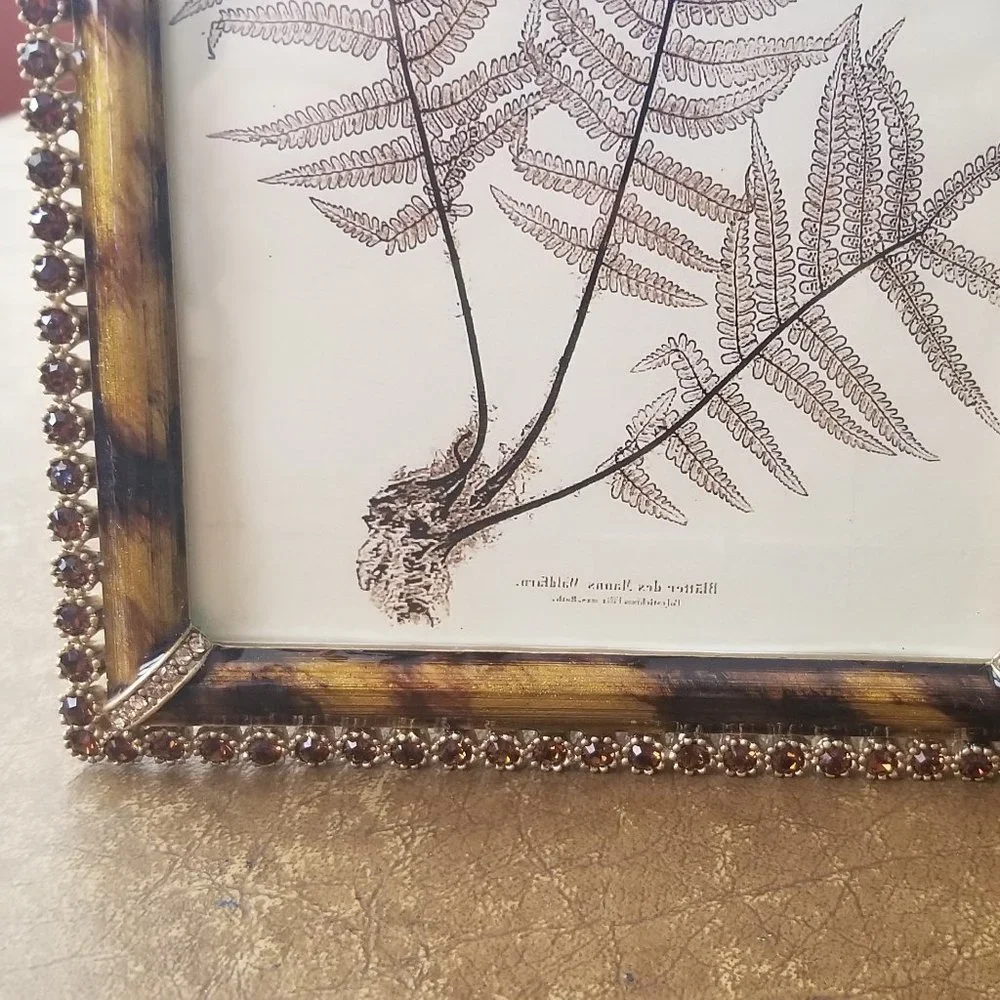 RARE JAY STRONGWATER LORRAINE LUCAS LEOPARD JUNGLE PAVE CRYSTAL ENAMEL FRAME