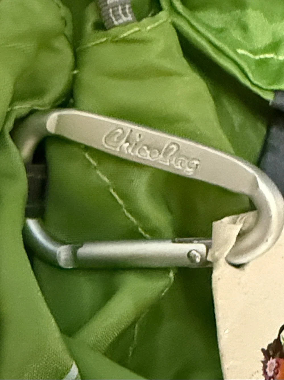 Disney addition chicobags identify
