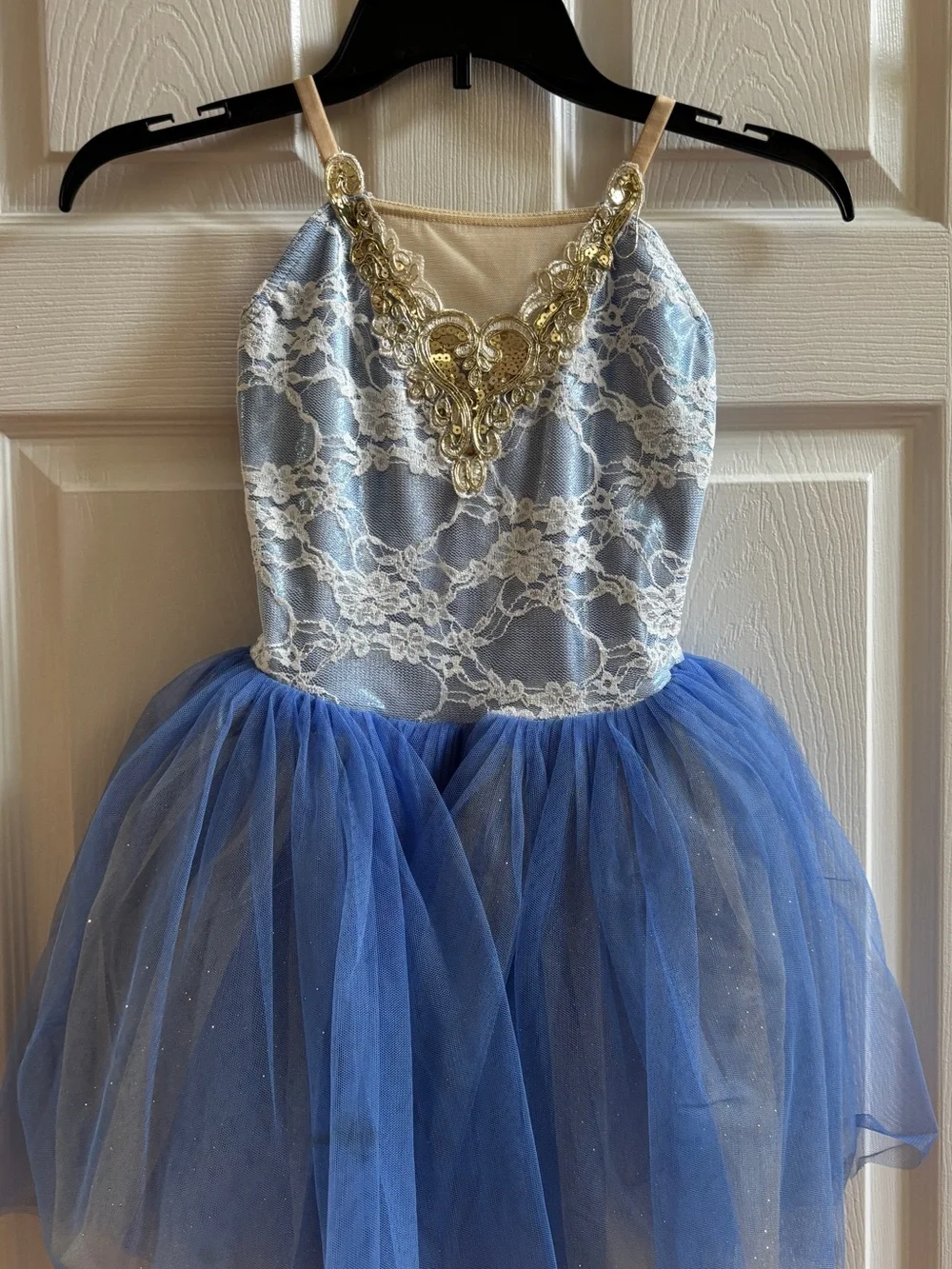 Blue Tulle Lace Dress with Gold Applique