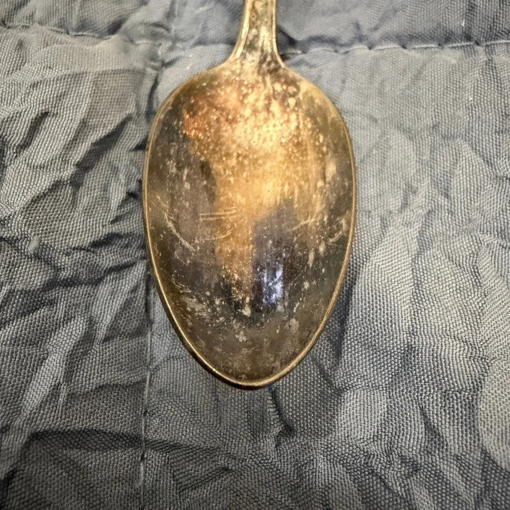 Vintage Mildred Quality Silver Plate Iced Tea Spoon Floral Rose Pattern 7.5 Inch