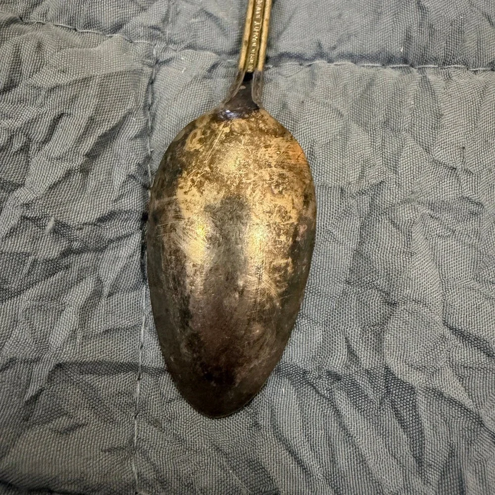 Vintage Mildred Quality Silver Plate Iced Tea Spoon Floral Rose Pattern 7.5 Inch