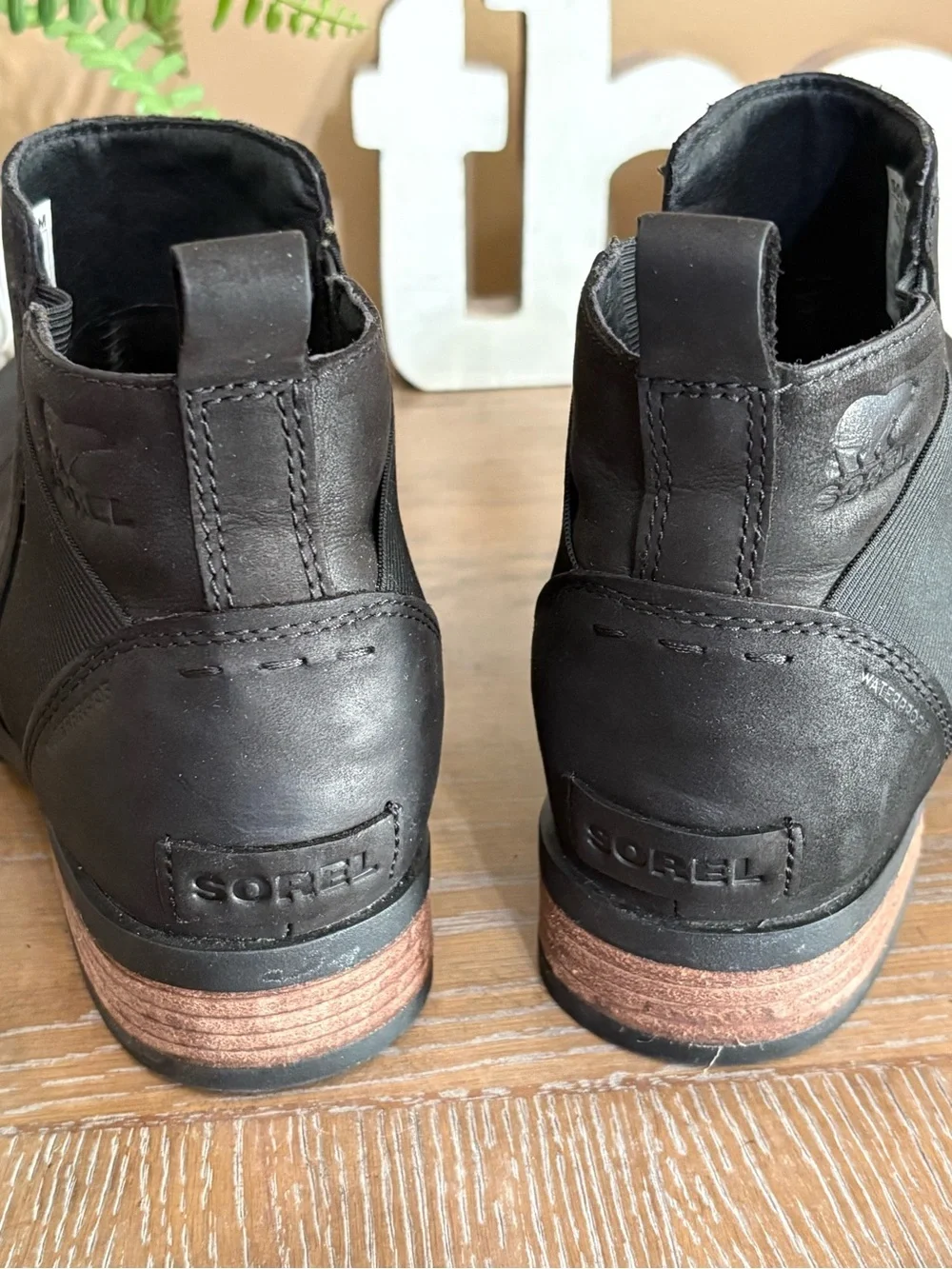 Sorel emelie chelsea