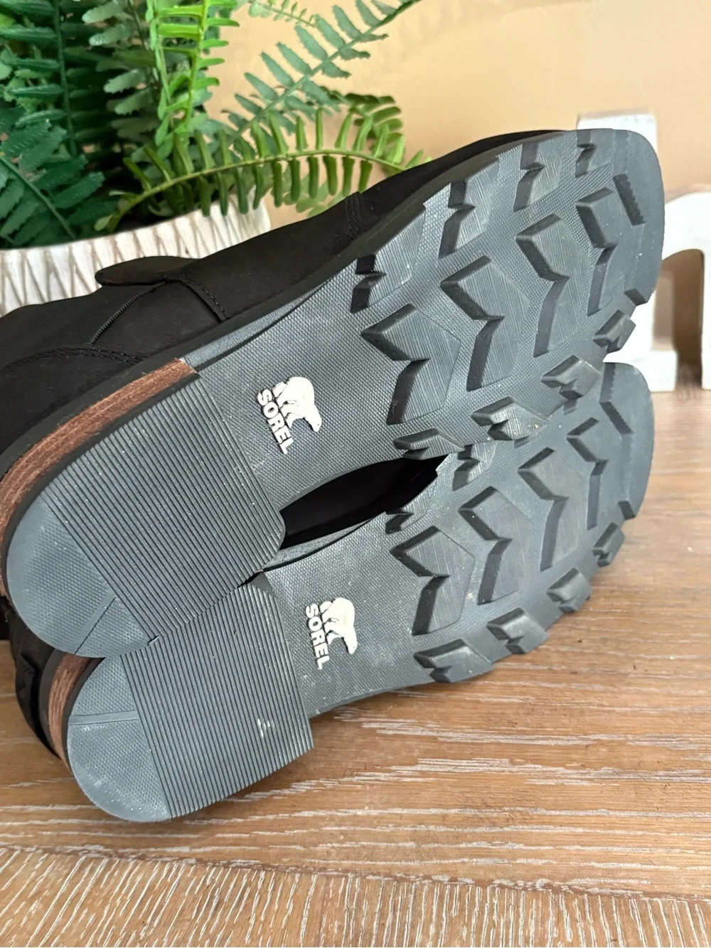 Sorel emelie chelsea