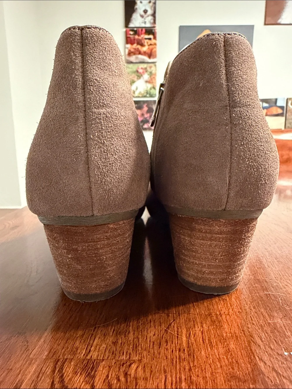 Blondo Waterproof Suede Ankle Booties size 10