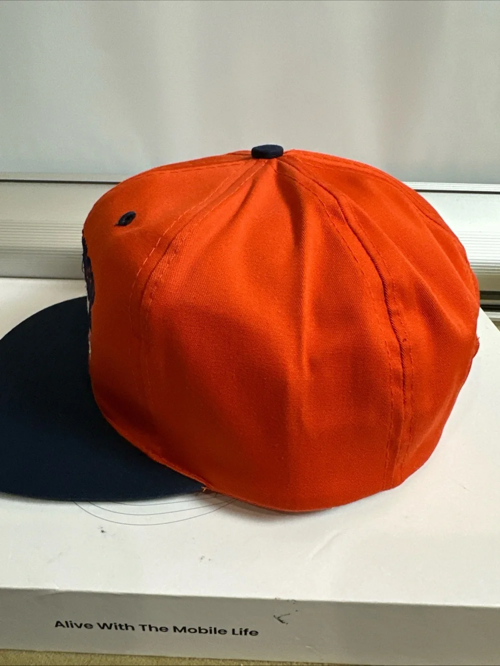 College Classics embroidered bright