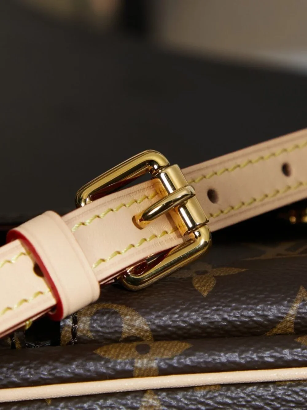 Louis Vuitton Handbag