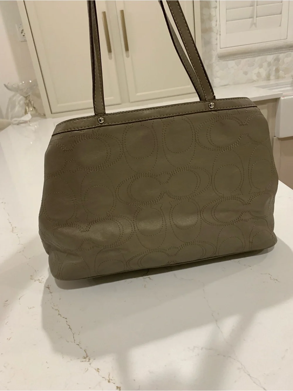 Coach Olive-Taupe Signature Shoulder Leather Tote Bag
