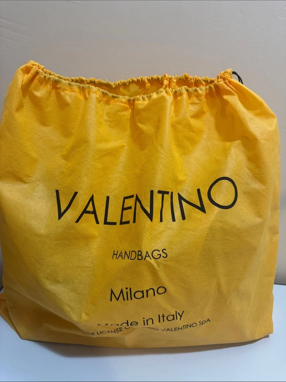 Valentino✨Ollie Bag By Mario Valentino