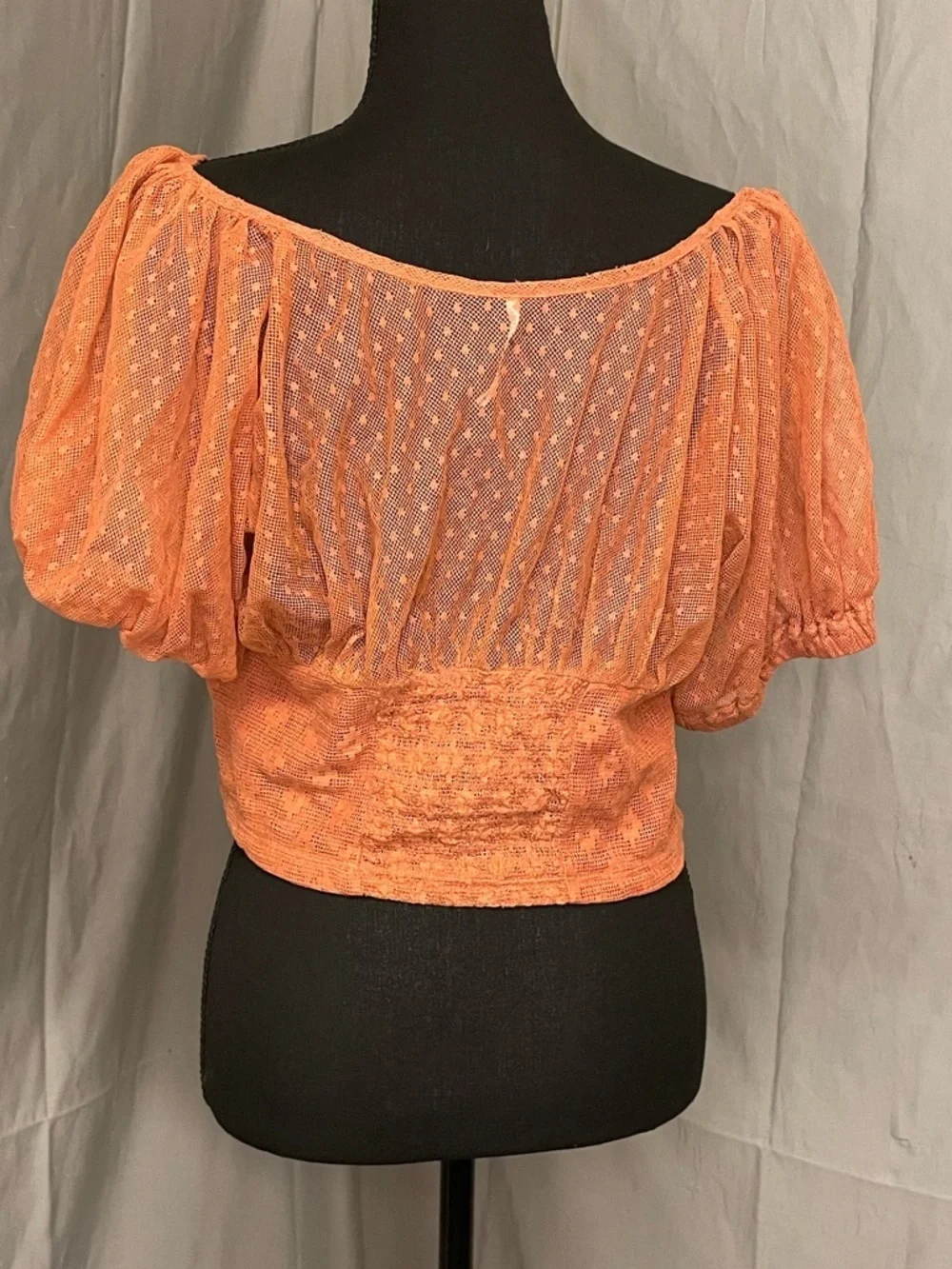 Free People Terra Cotta Puff-Sleeve Smocked Crop Top