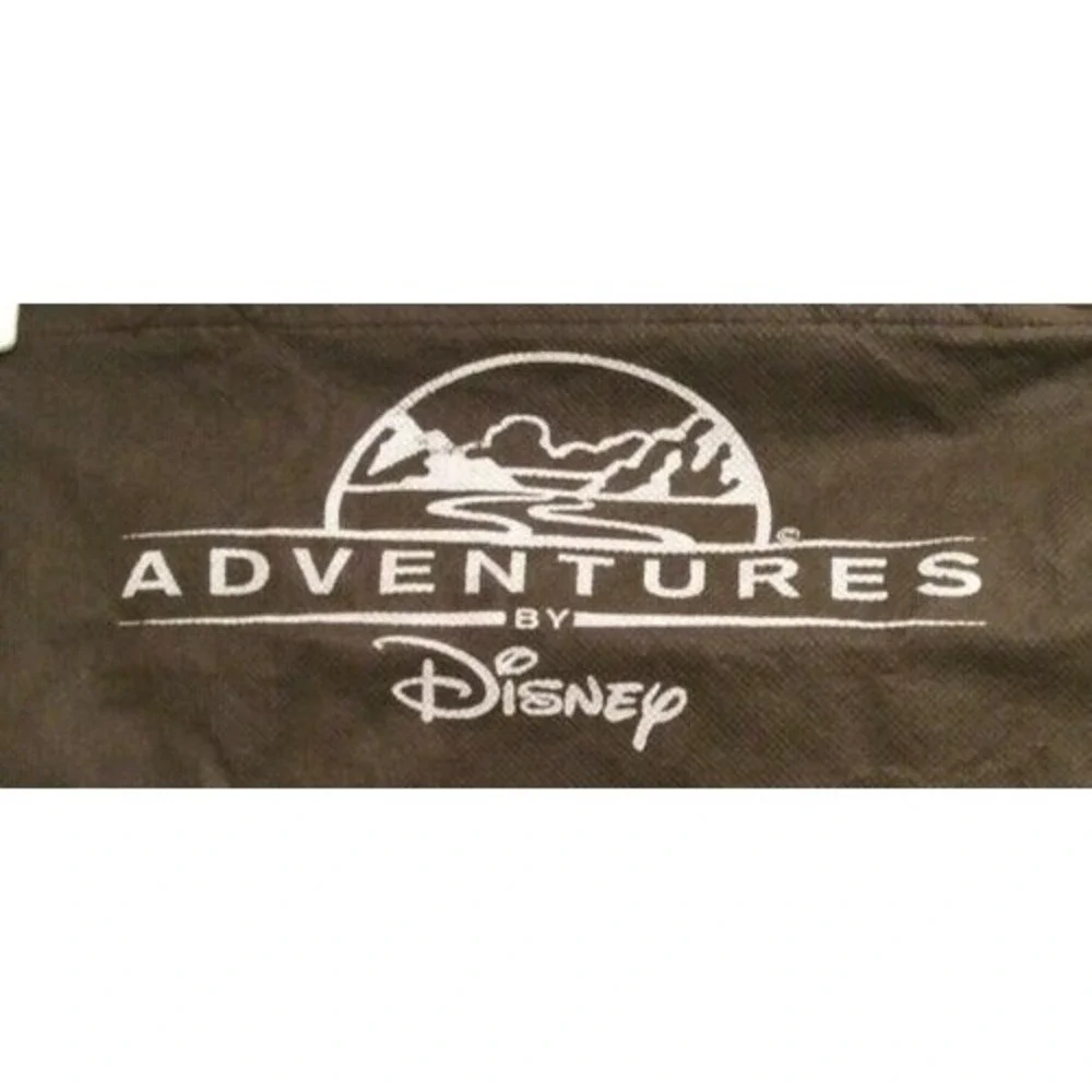 Disney adventures by