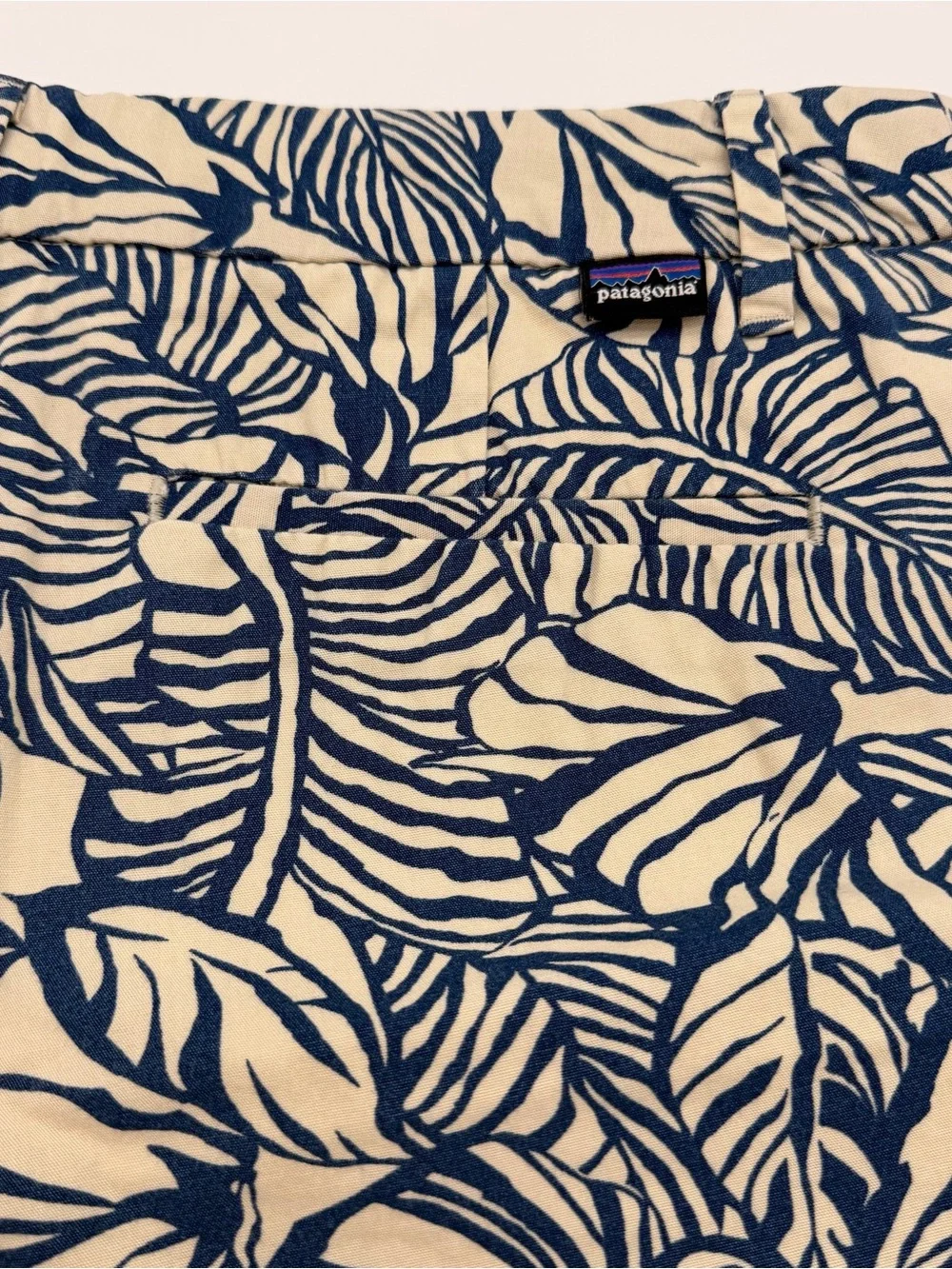 Patagonia shorts feature
