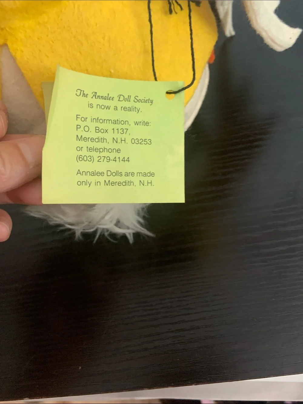 Annalee duck rain