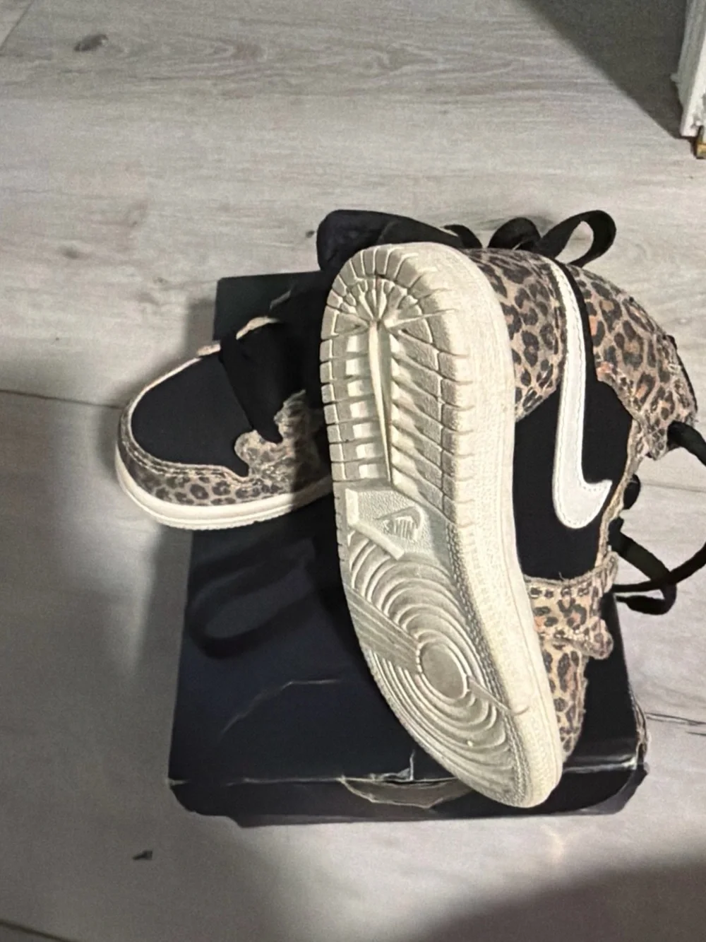 Nike kids dunk
