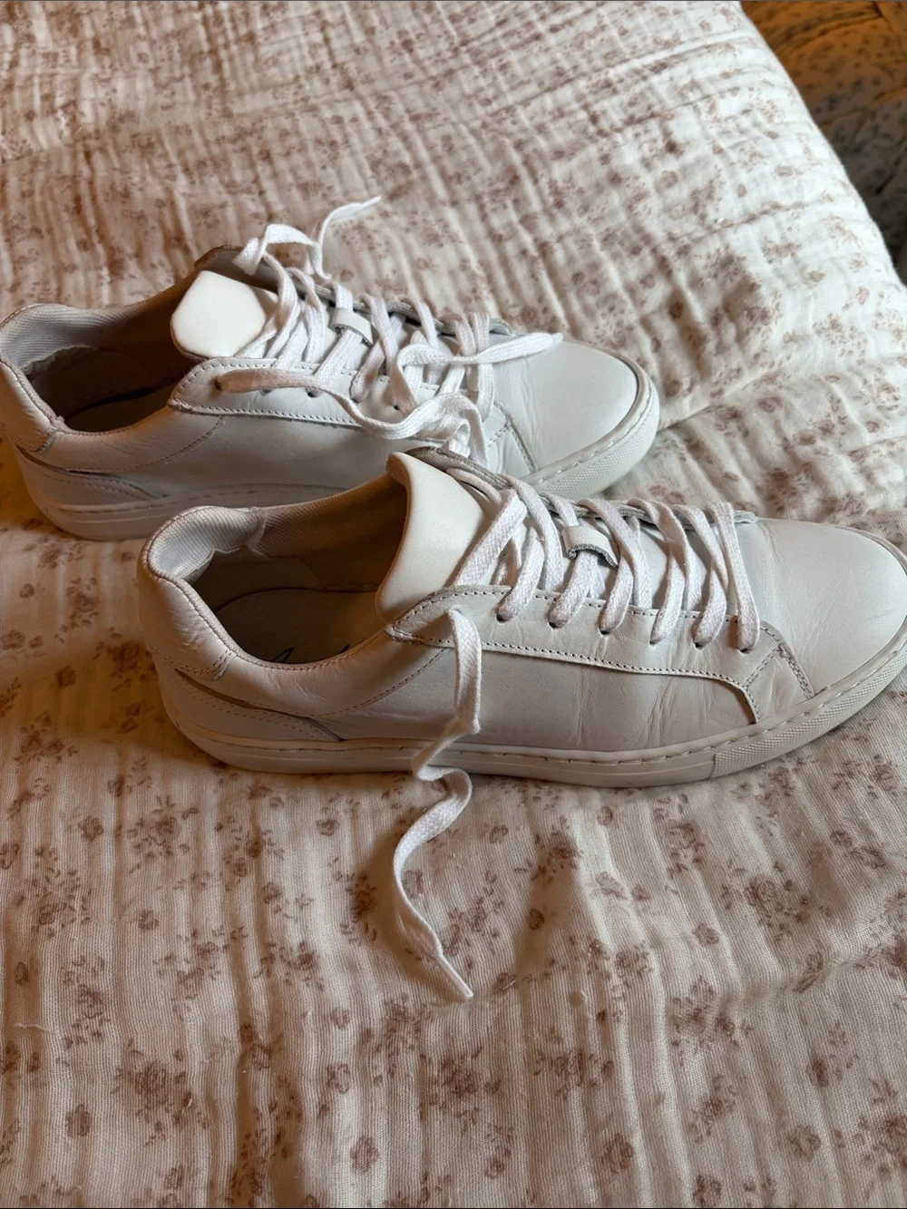 Avellini classic white