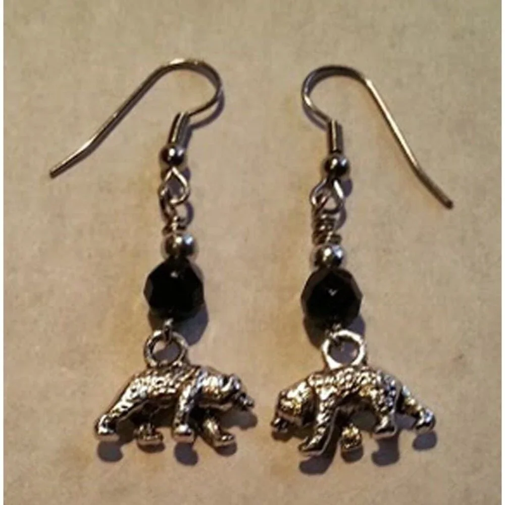 Medicine Wheel Spirit Keeper Earrings – Grizzly Bear Mudjekeewis