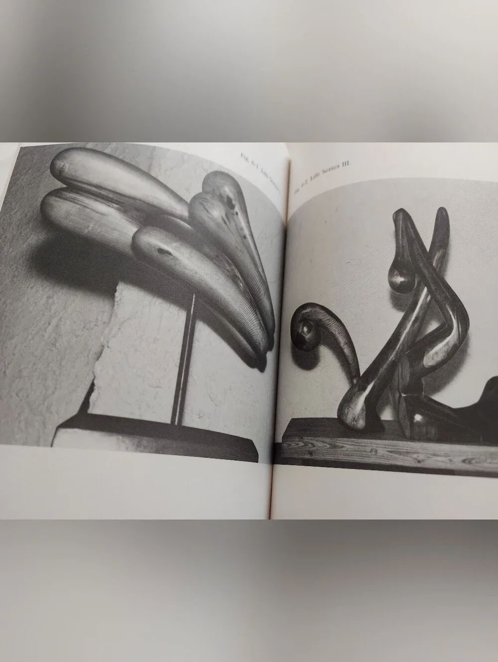 N/A woodcarving simplified