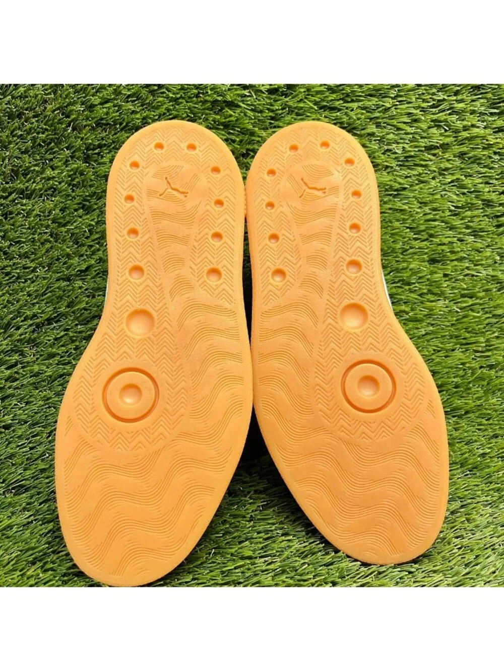 Puma please review