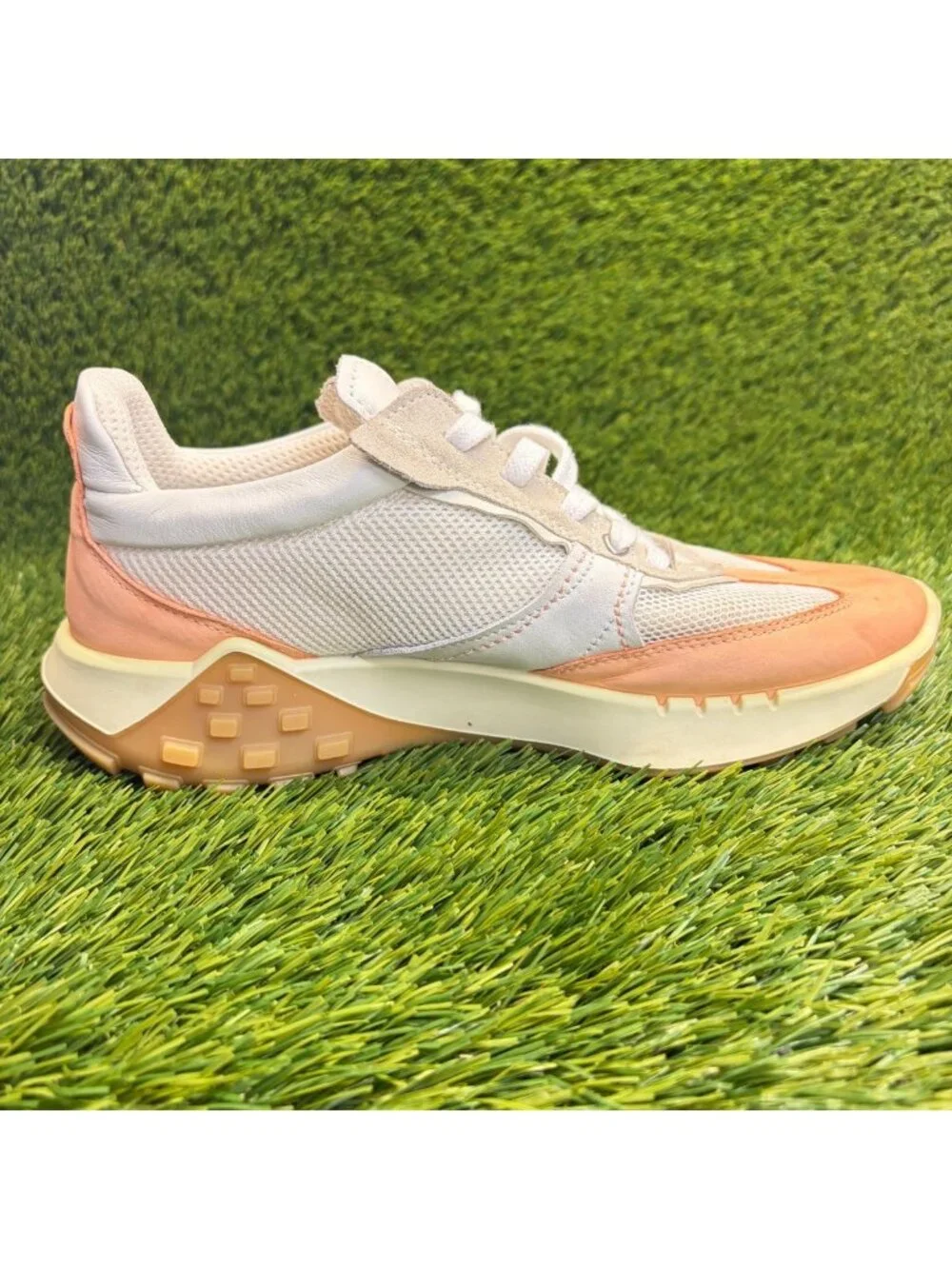 Ecco please review
