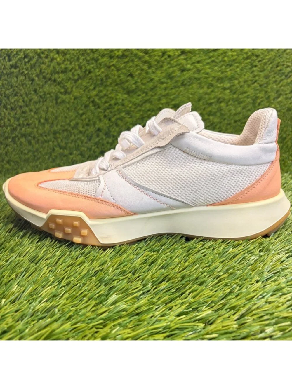Ecco please review