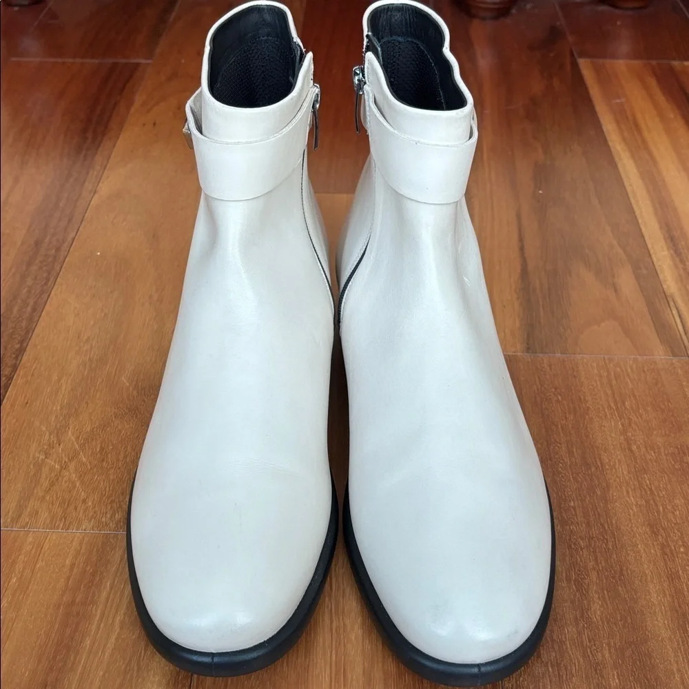 Ecco beautiful sculpted