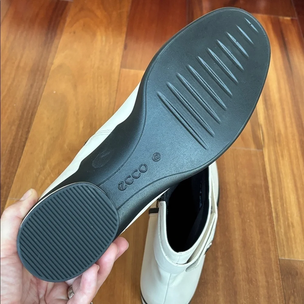 Ecco beautiful sculpted