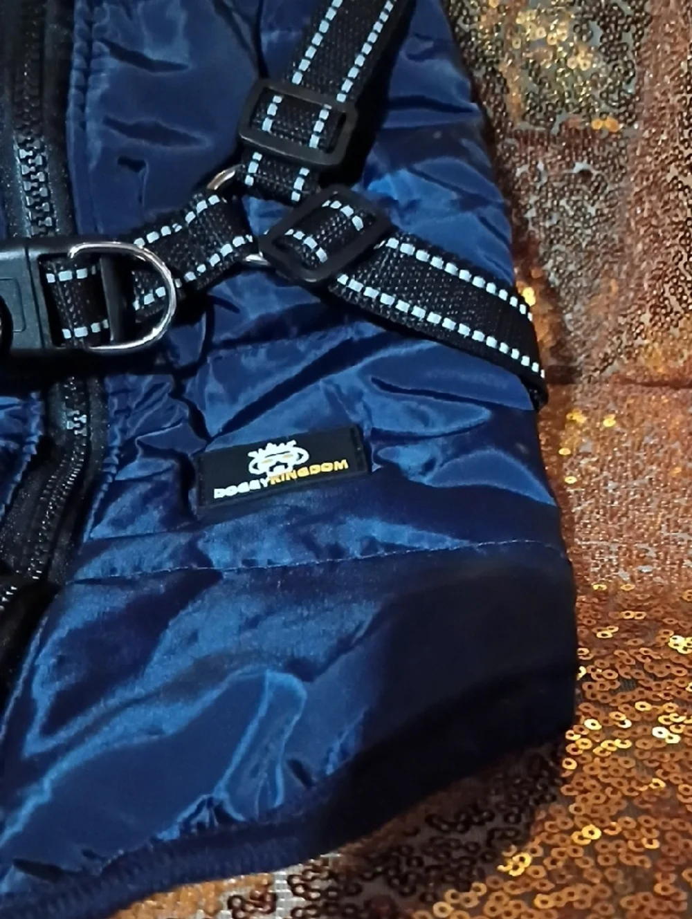 doggy kingdom padded navy