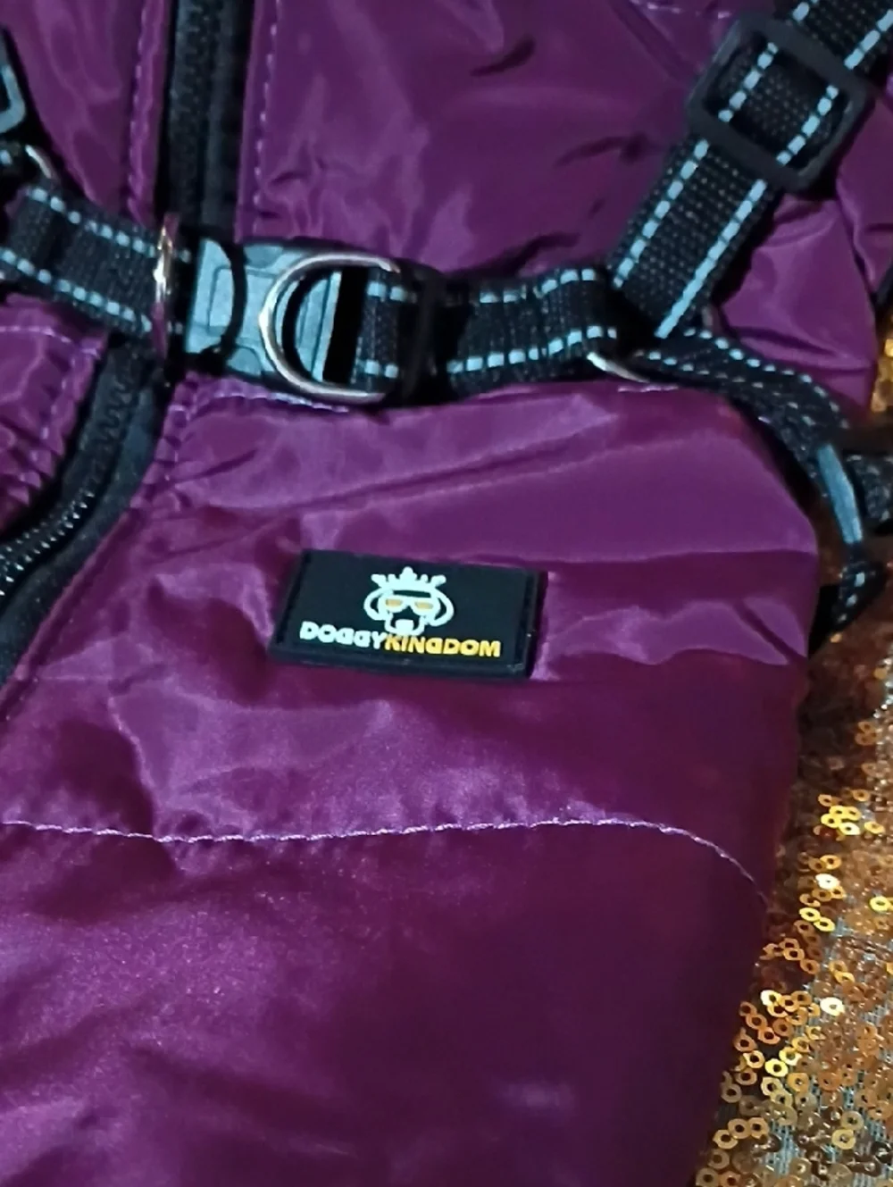 doggy kingdom water resistant