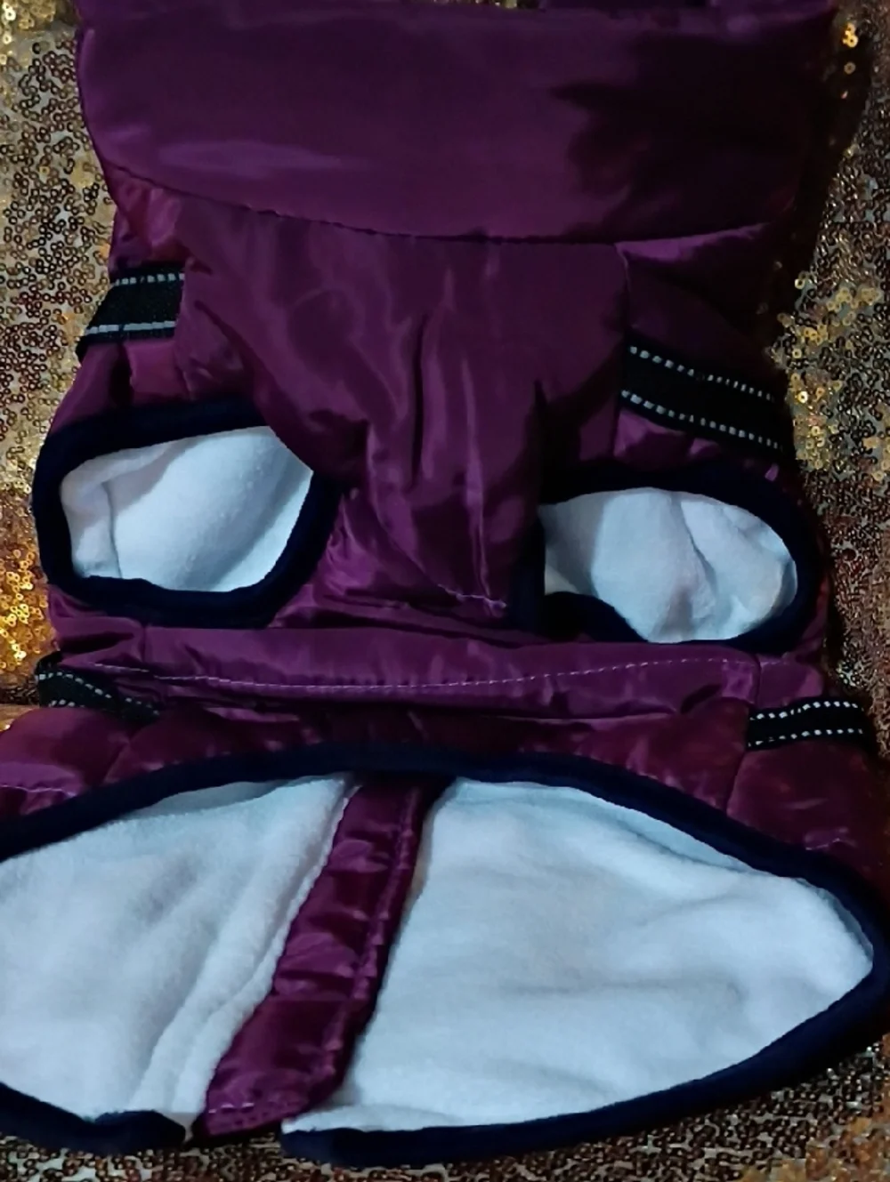 doggy kingdom water resistant