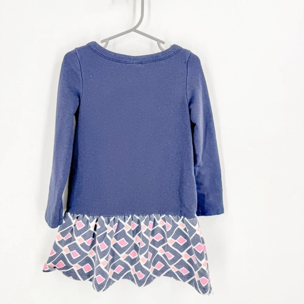 Gymboree Blue and Pink Long Sleeve Casual Dress
