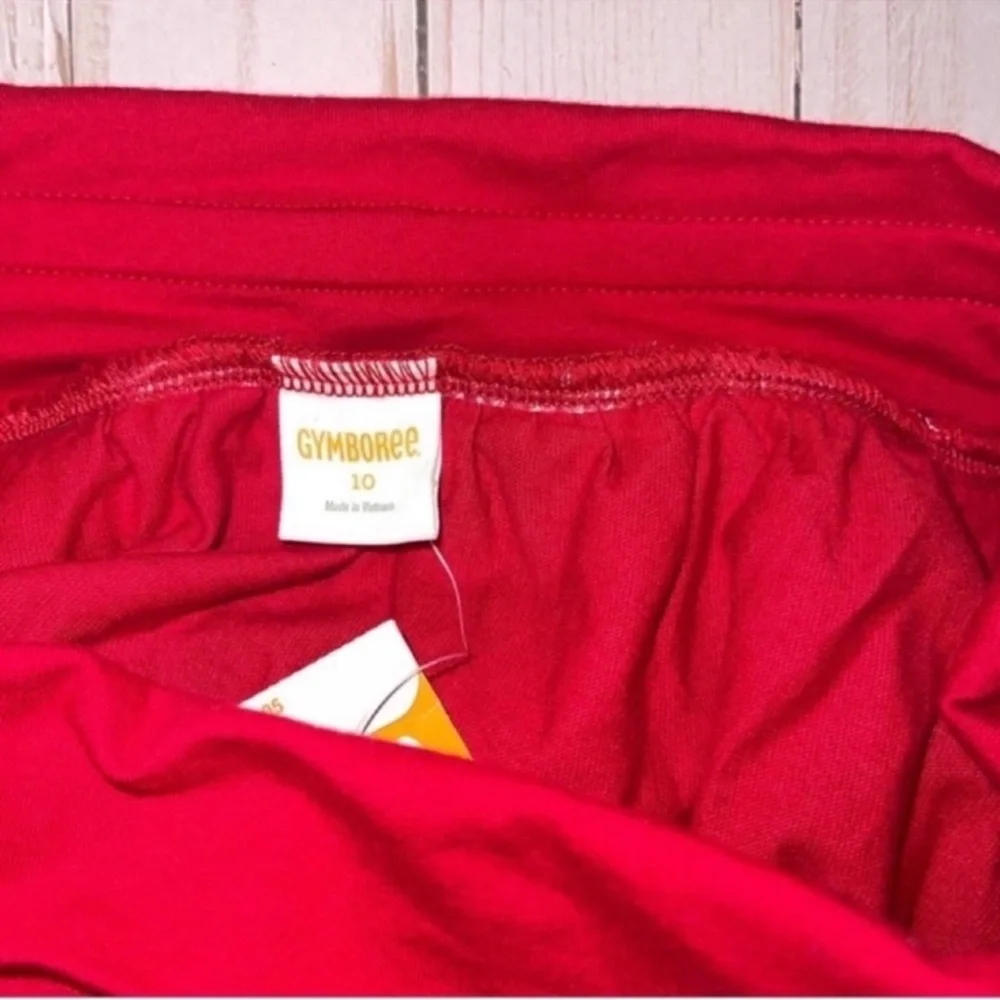 Gymboree skirt NWT