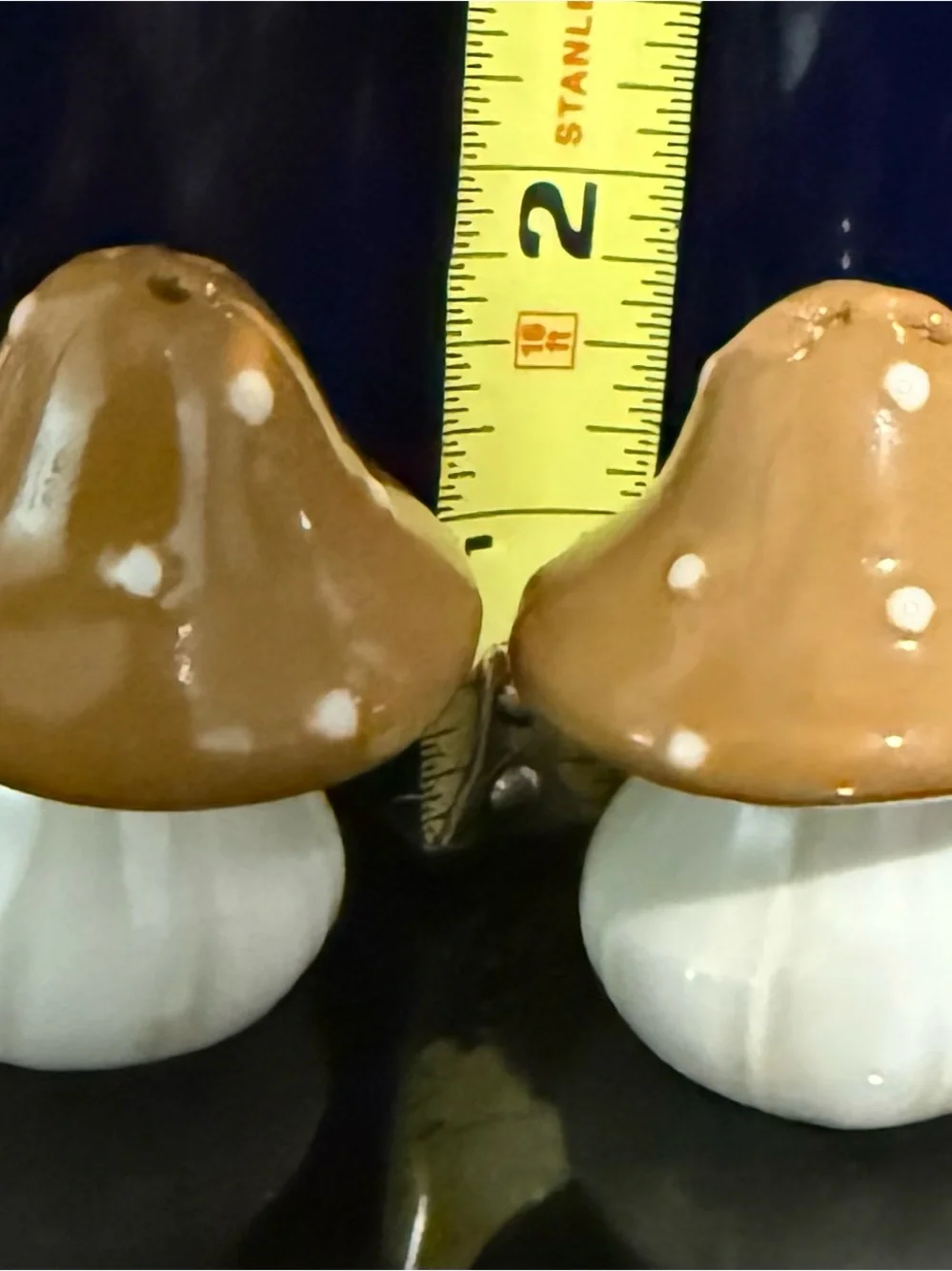 N/A mini mushroom