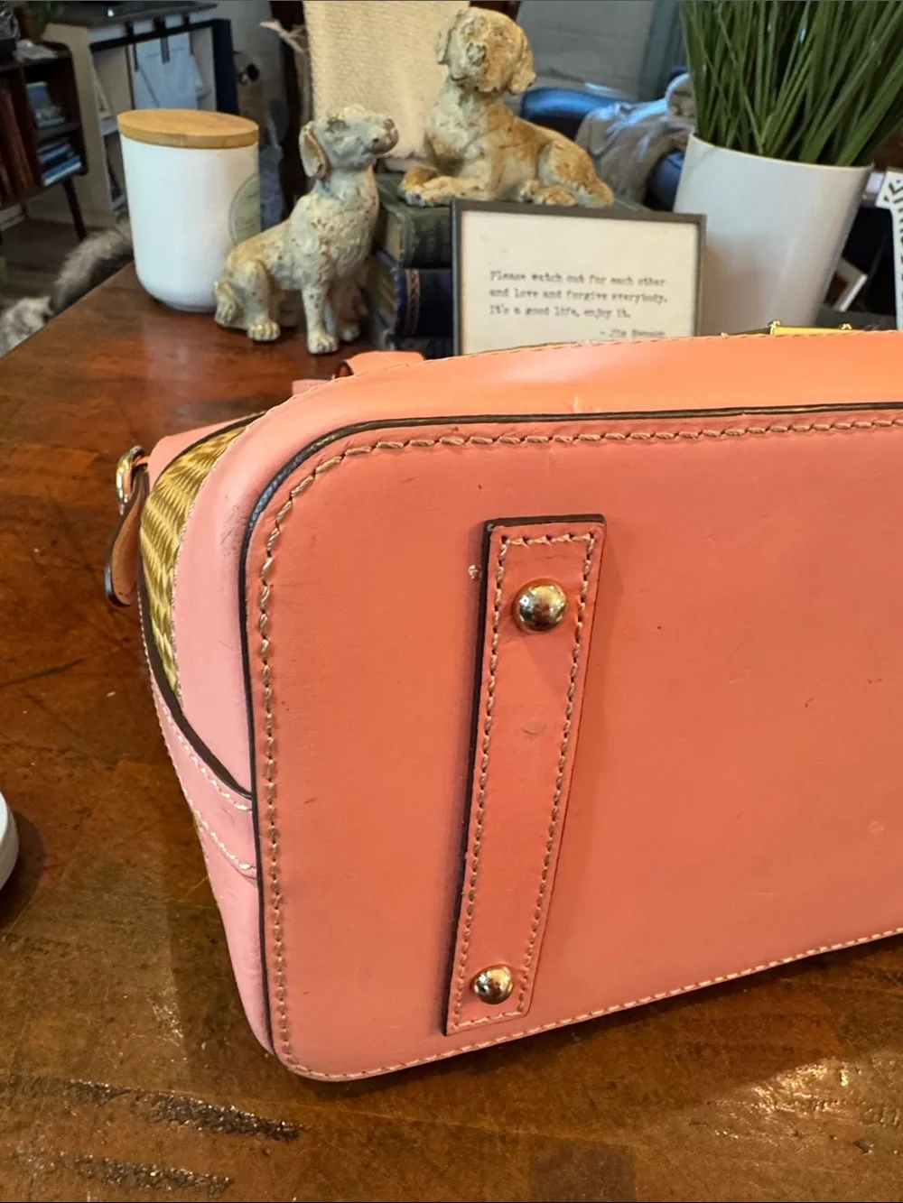 Dooney & Bourke dual strap tote