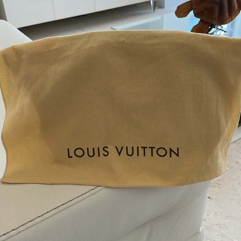Louis Vuitton louis no