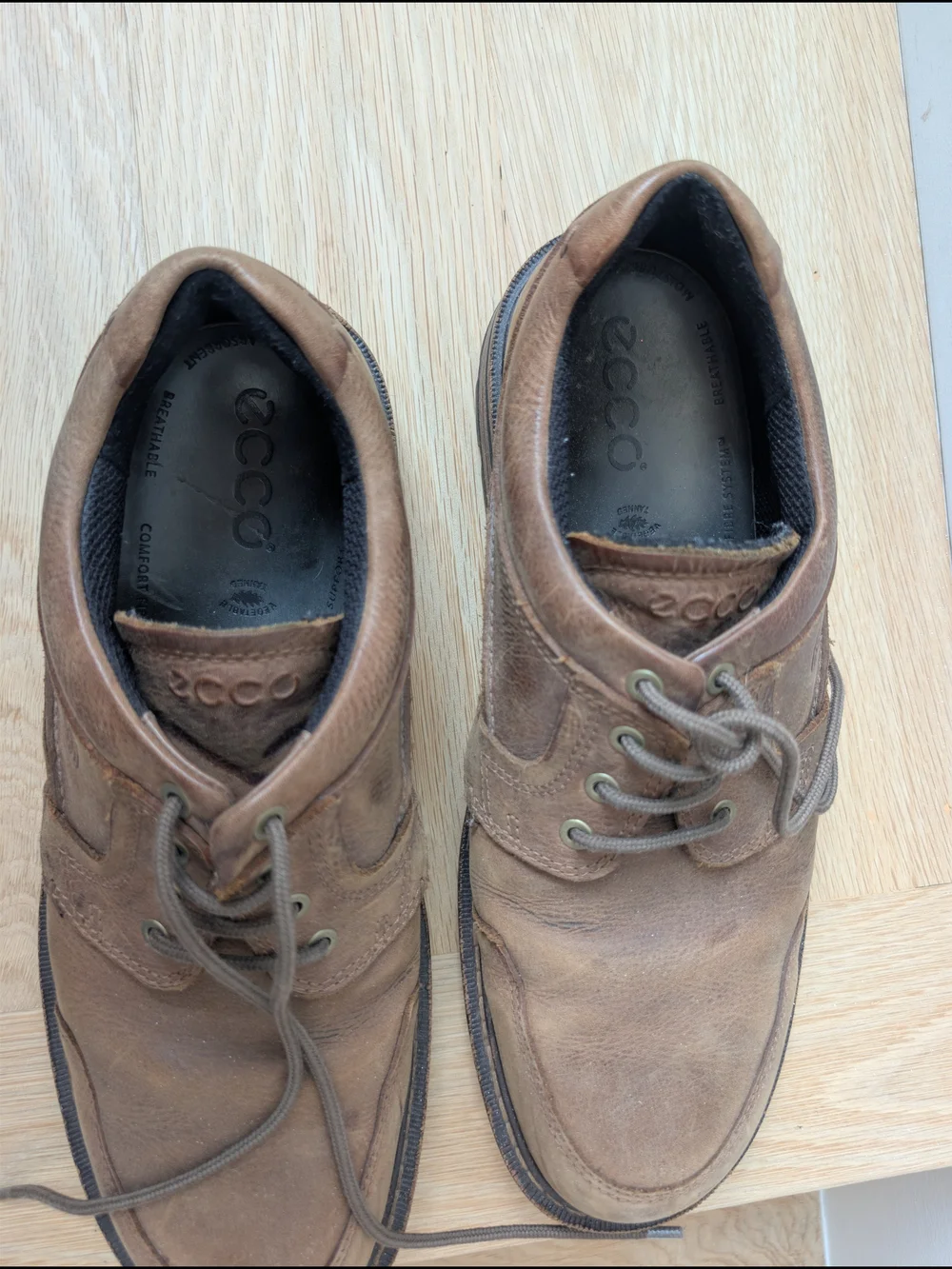 Ecco classic brown