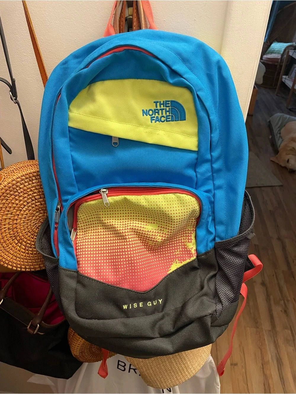 The North Face Blue and Lime 'Wise Guy' Backpack with Red Accent