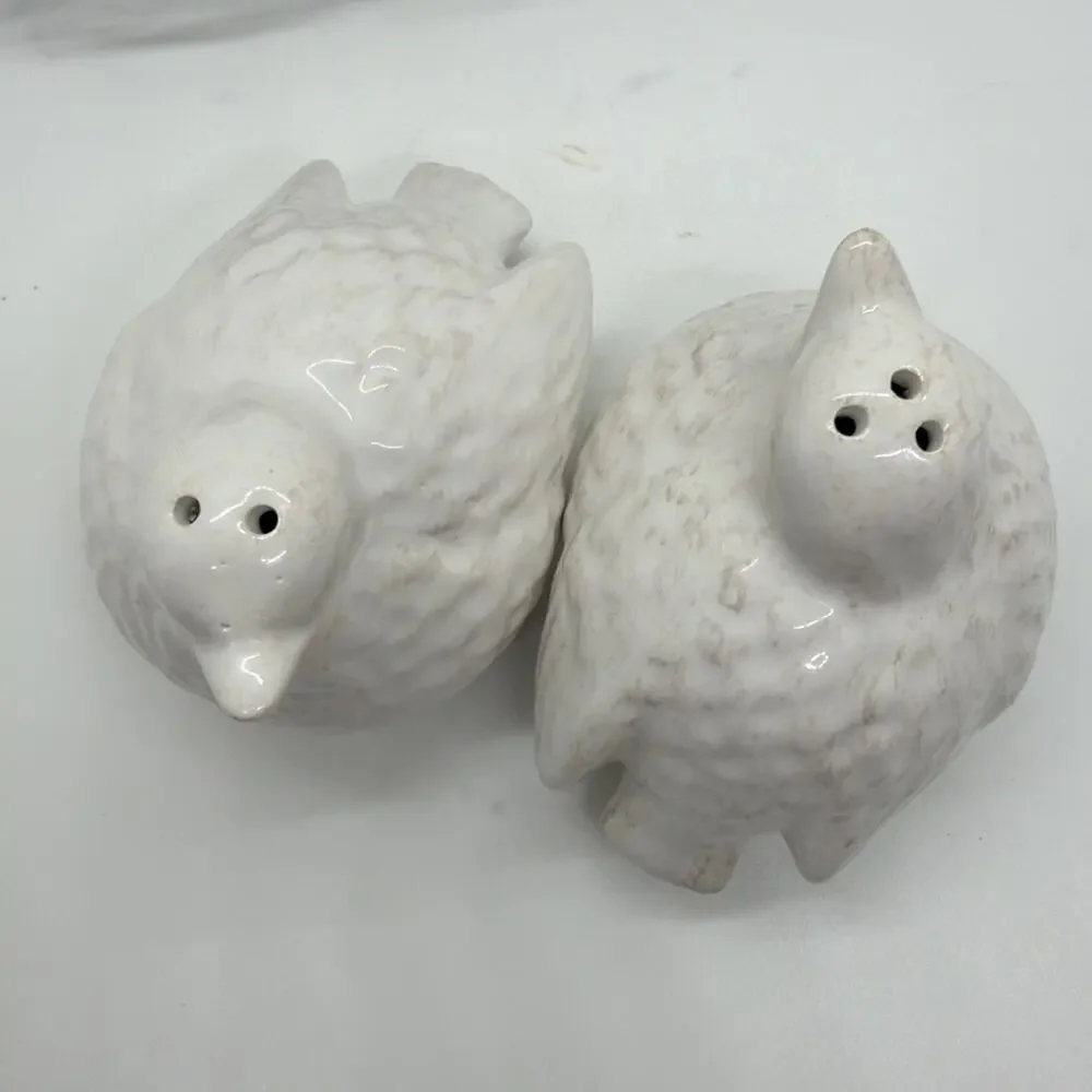 Unbranded chicks birds
