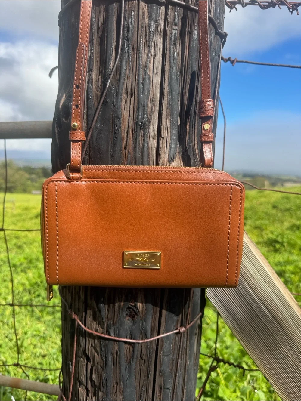 Lauren Ralph Lauren brown Leather organizer Wallet Small Crossbody Bag