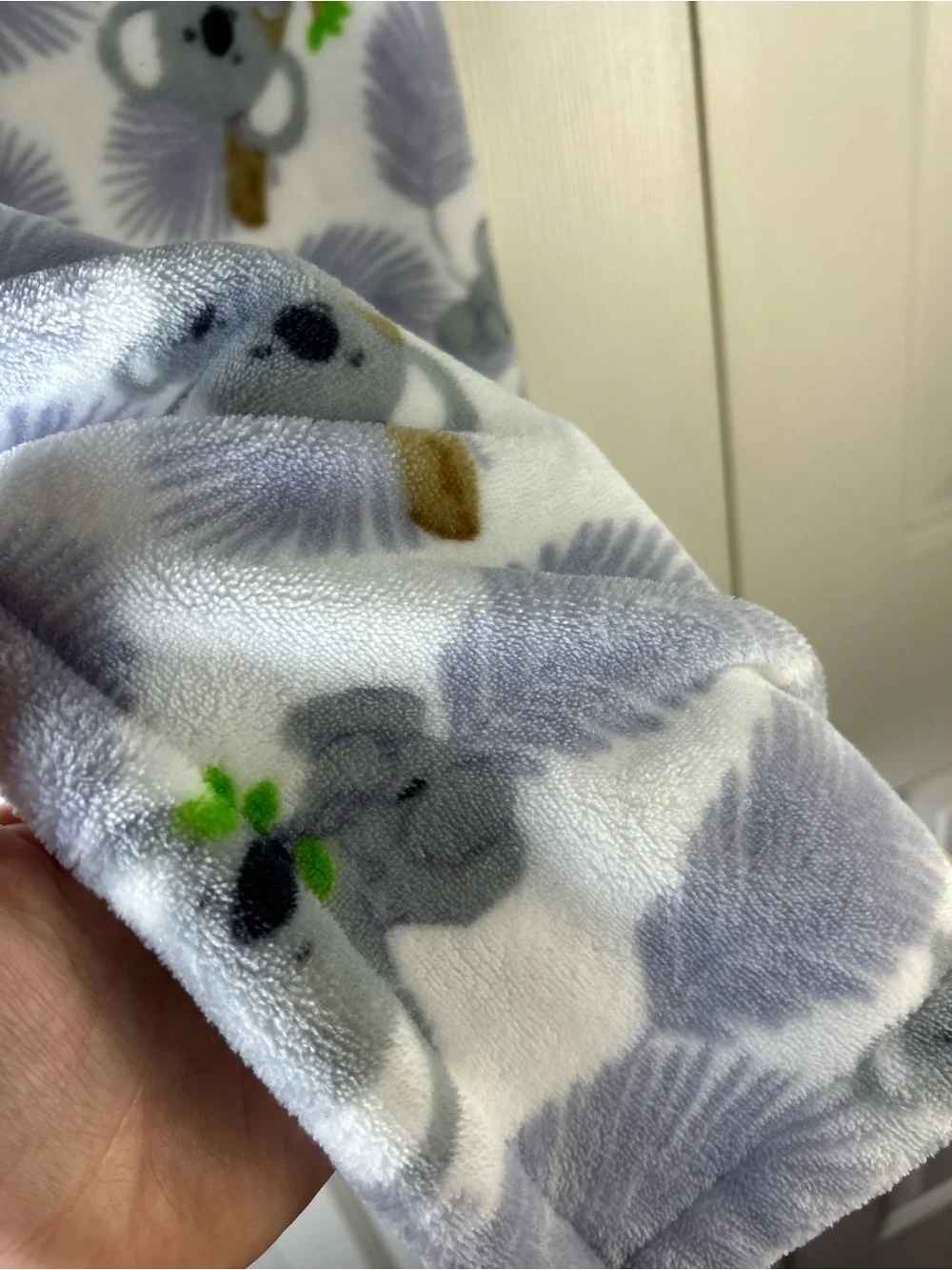 N/A tahari koala