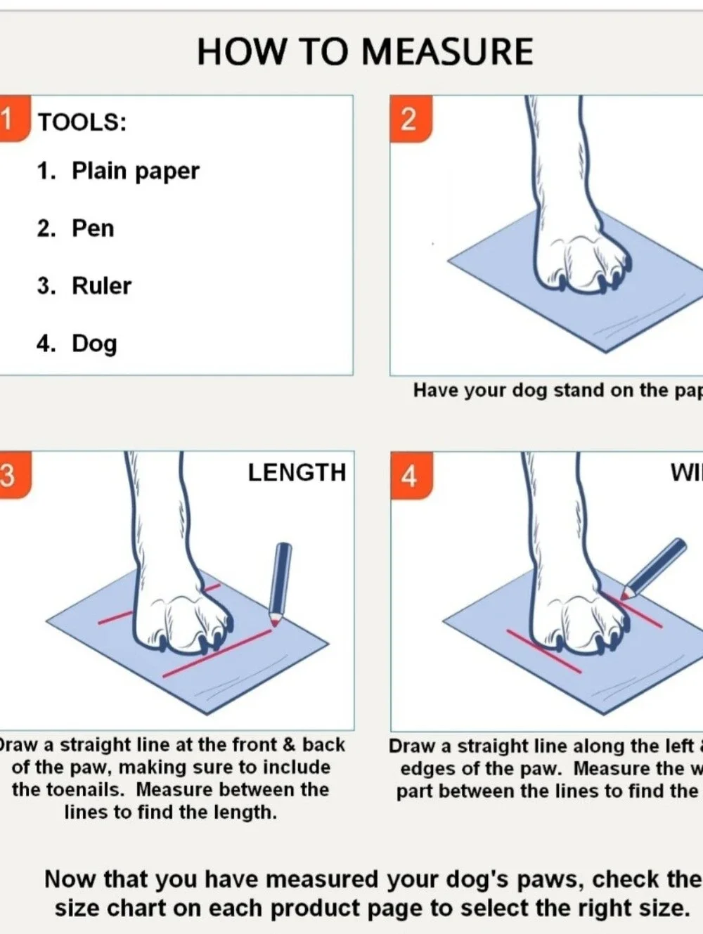 Size 5 Four Sets Of Dog Or Animal Sandles Shoes