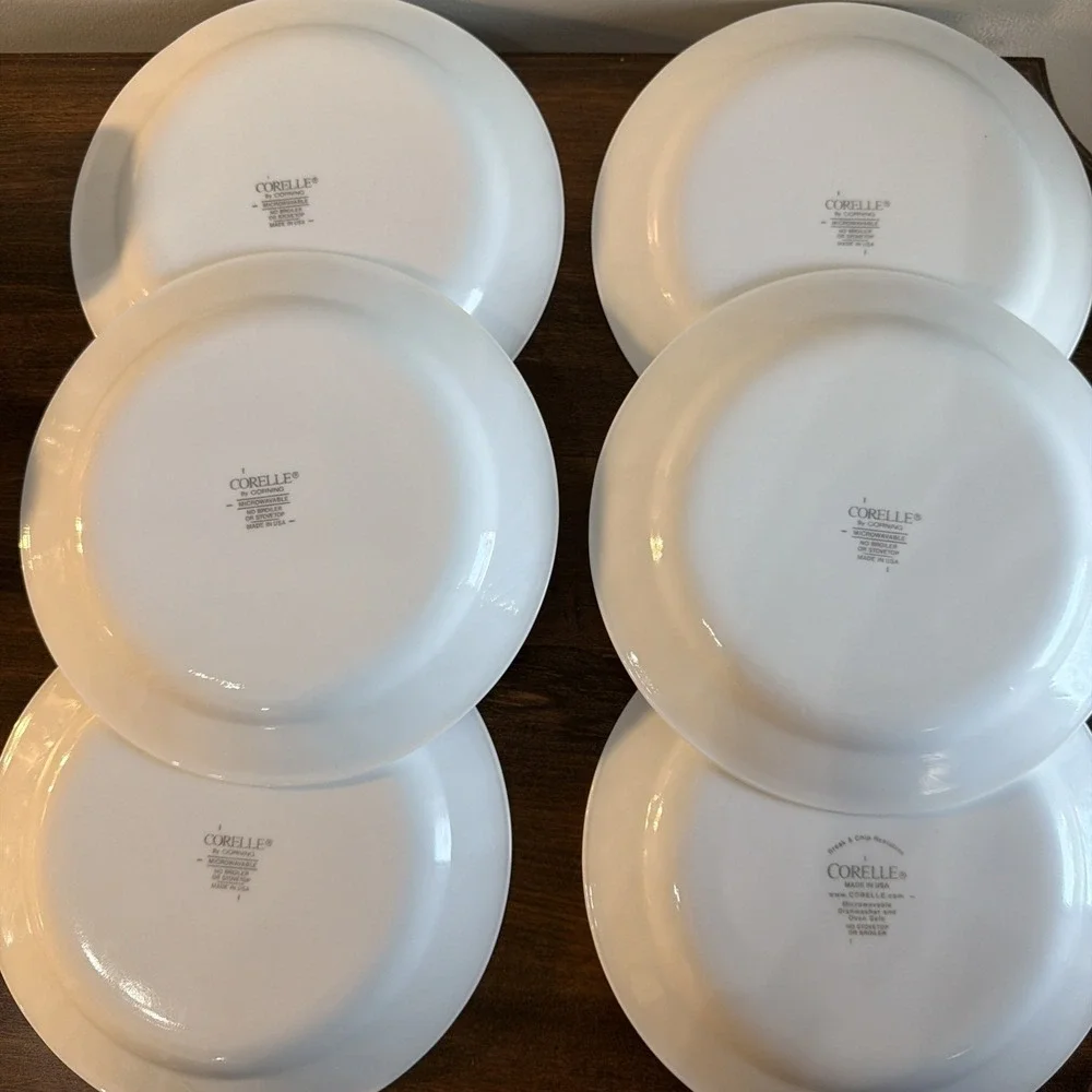 Corelle set chutney