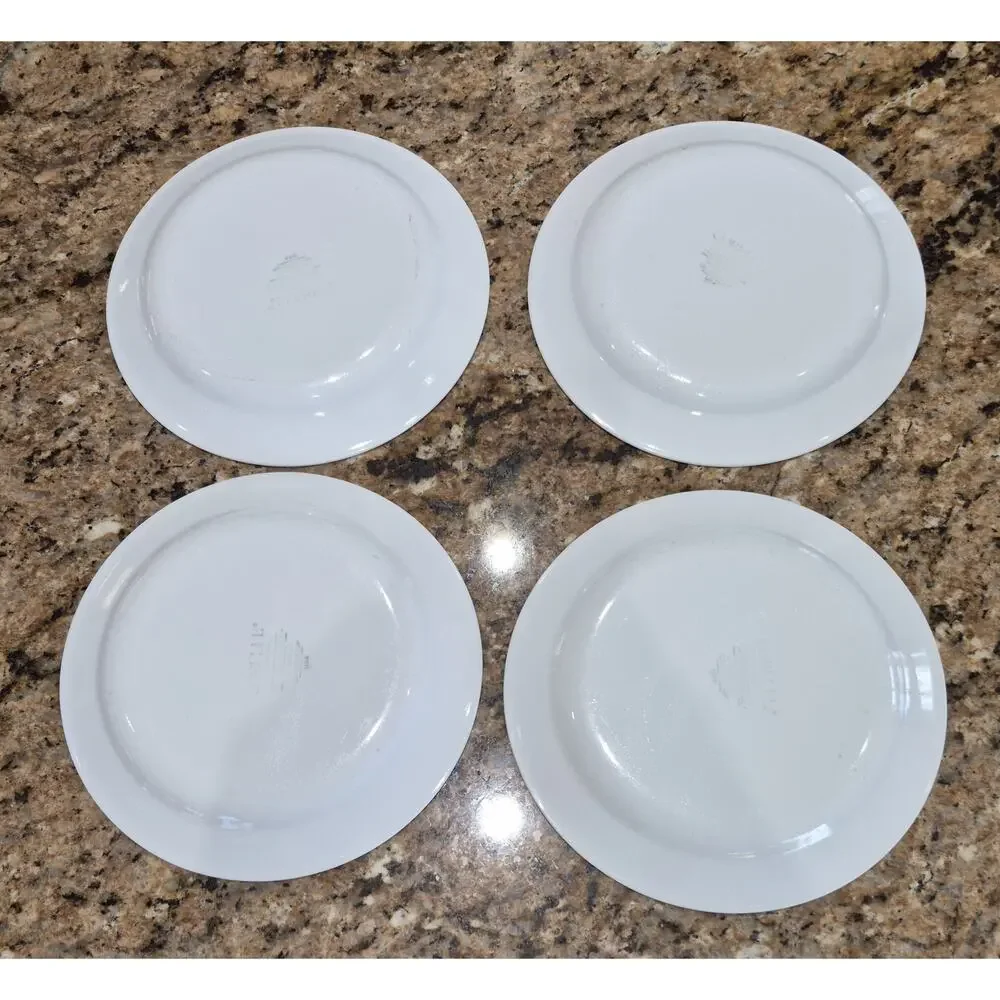 Corelle decorative blue design