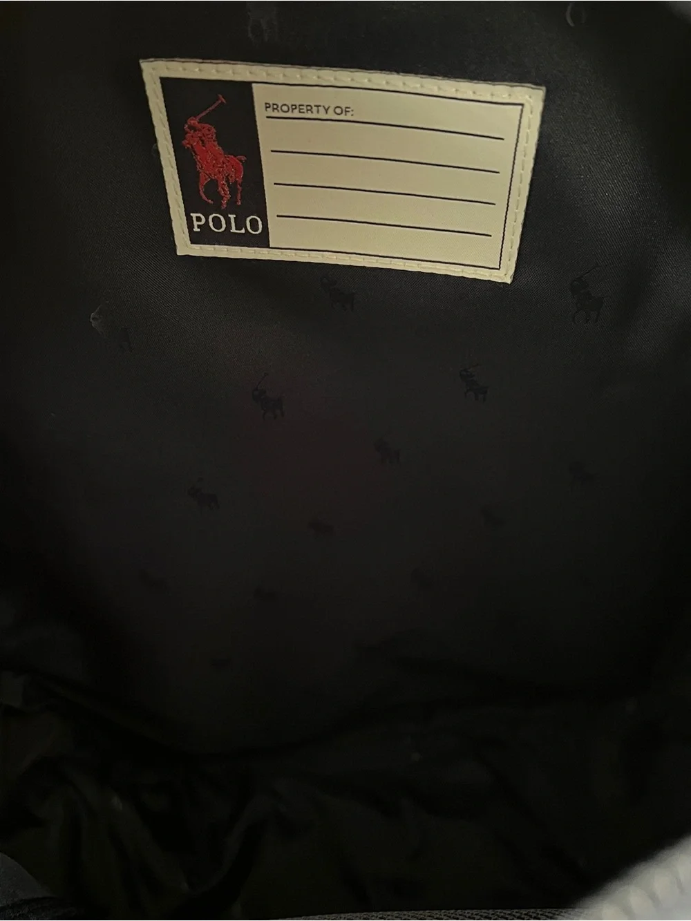 Ralph Lauren bear navy classic