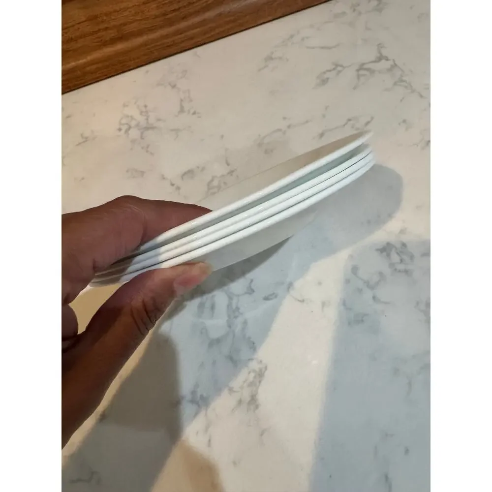 The Pioneer Woman corelle plates signature