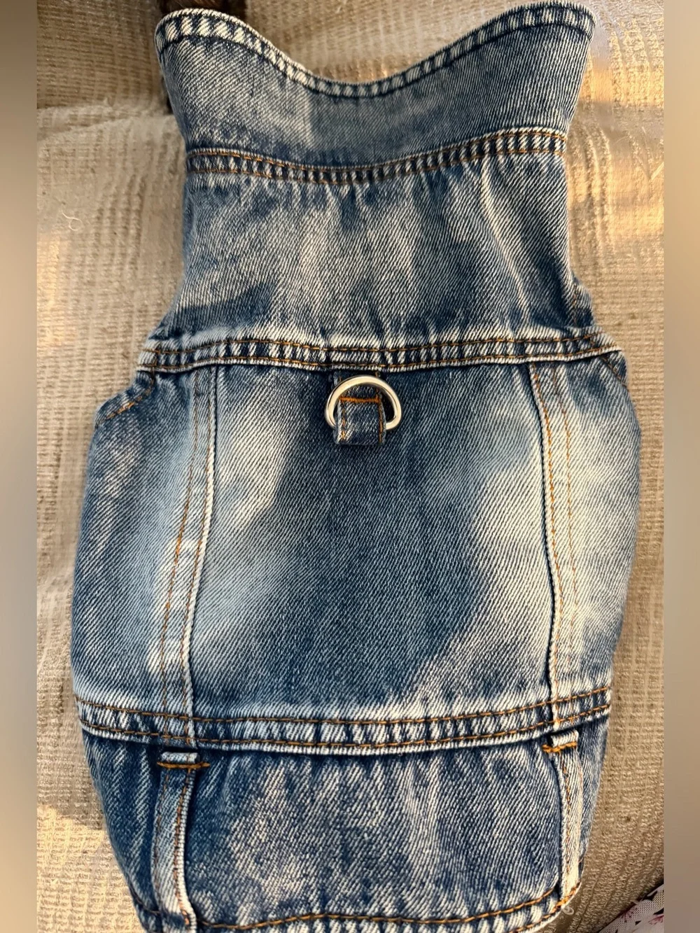N/A denim dog