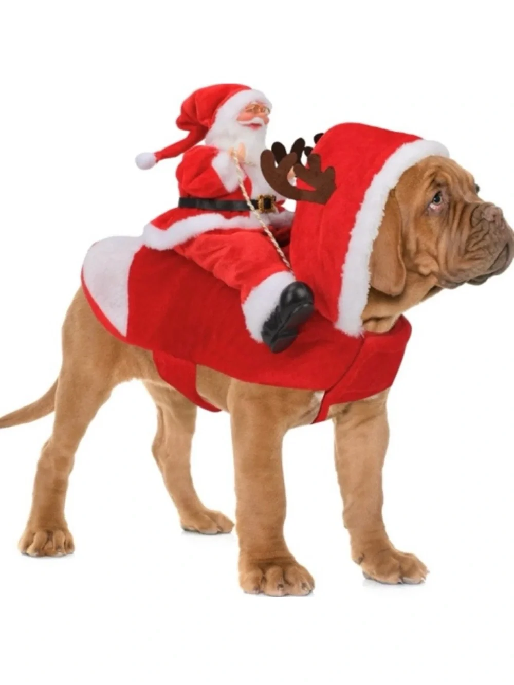 Christmas Dog Costume XL Riding Santa Reindeer Antlers Funny Pet Outfit NWT