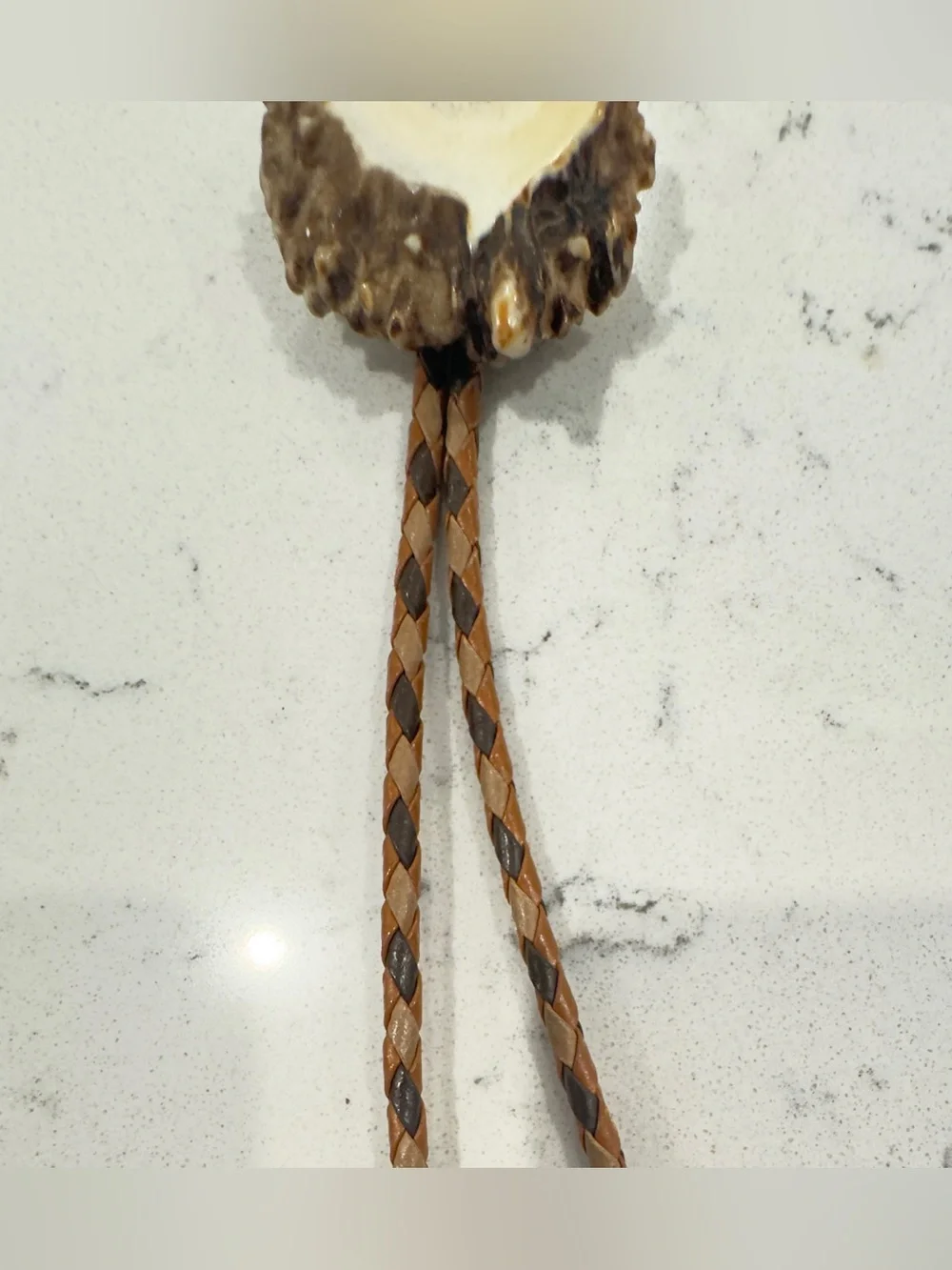 Bennett vintage antler