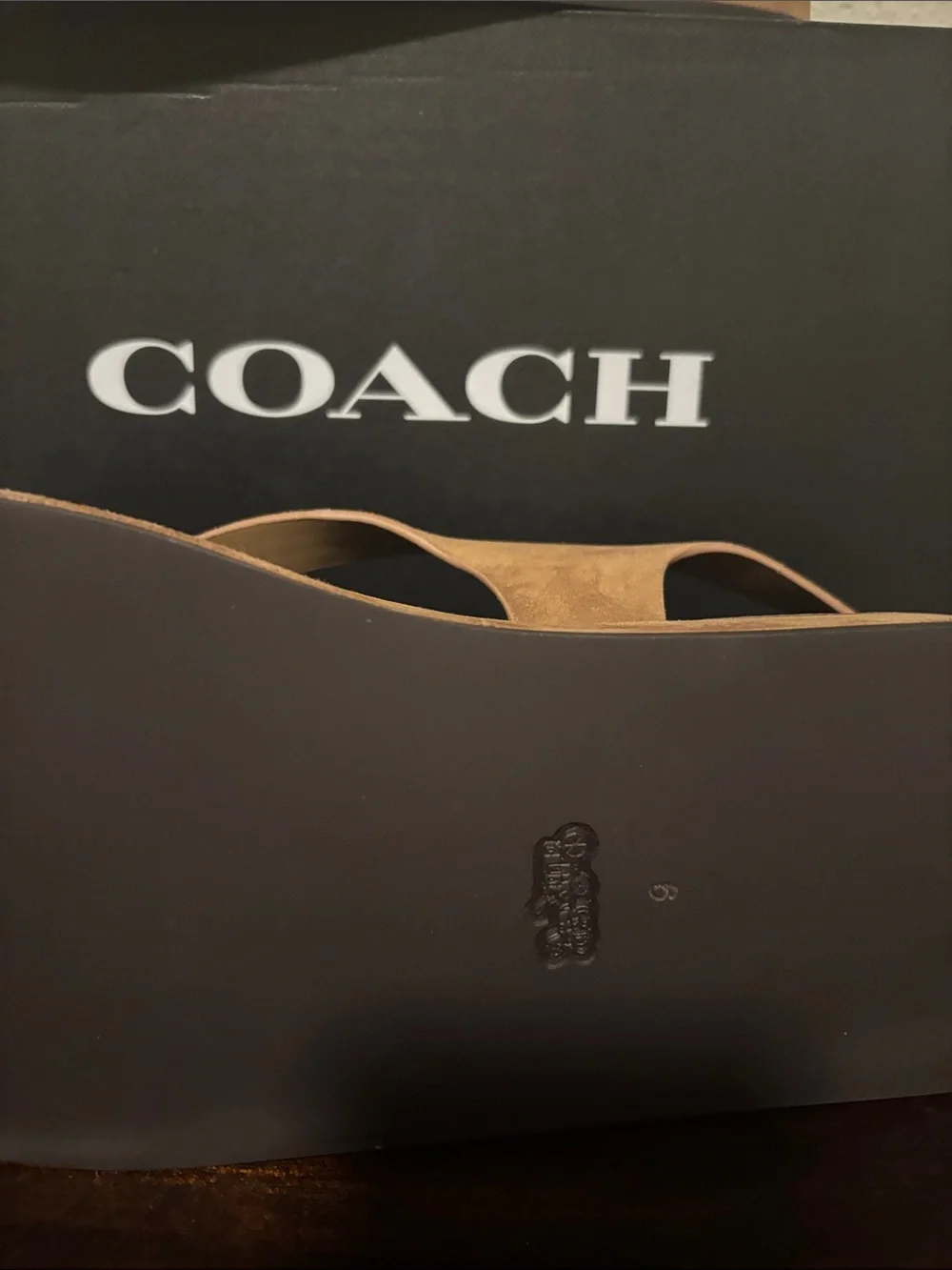 Coach Men's Tan Suede Platform Thong Sandals with Buckle