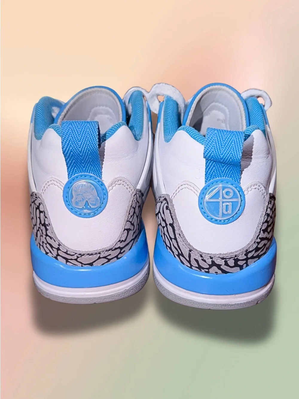 Nike jordan spizike
